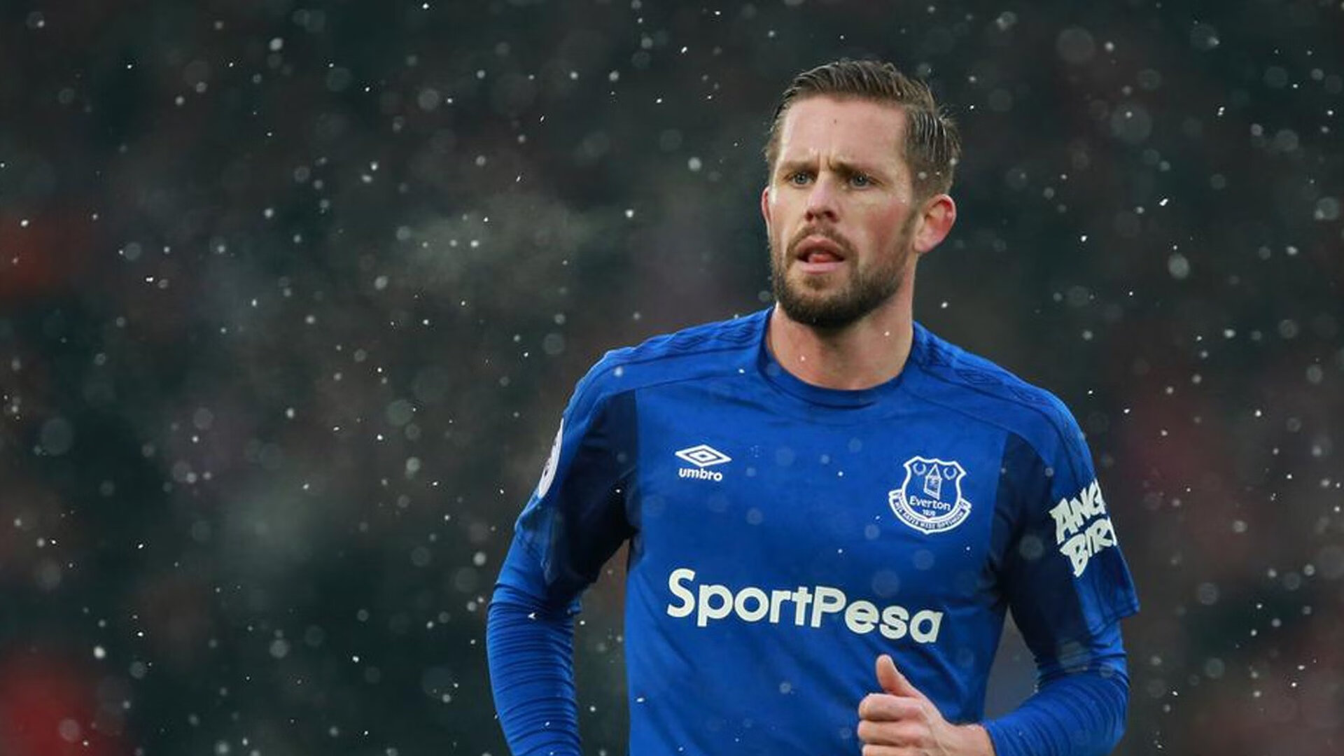 赛道与球场，F1街道赛焦点战与篮网斩落辽宁队的双重奏